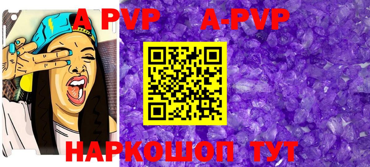 A PVP СК КРИС Алексин