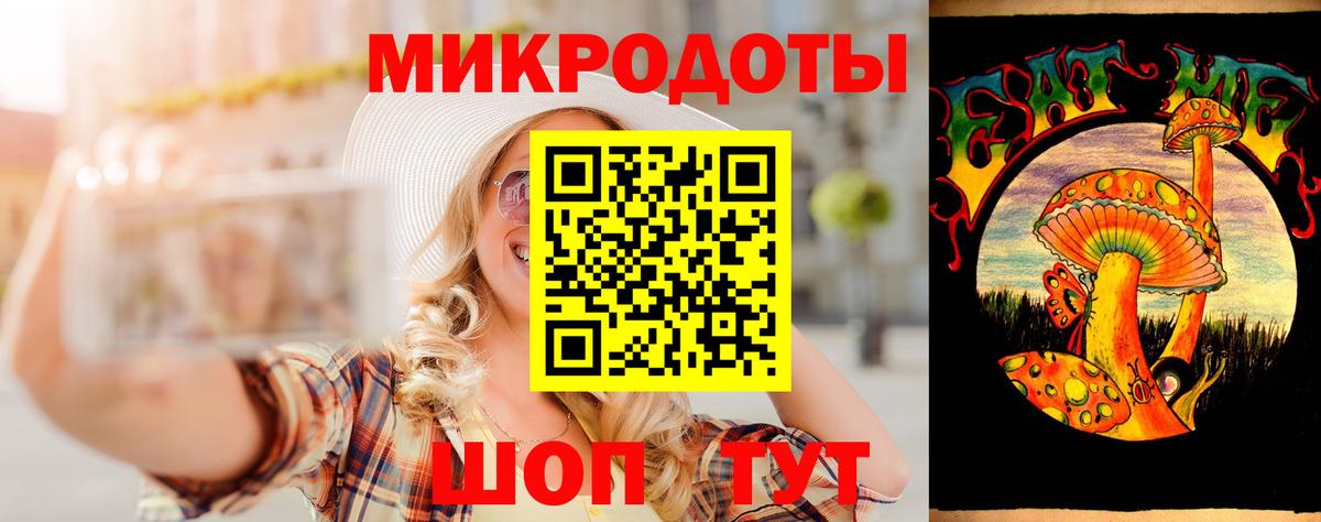 Галлюциногенные грибы Psilocybe Алексин